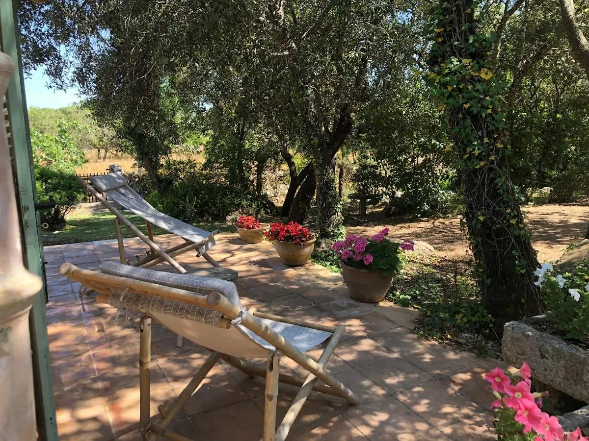Holiday home Villa Font March Pollenca Spain