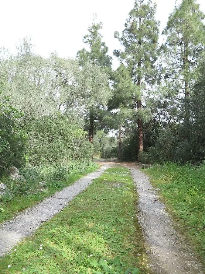Villa Font March Pollenca Holiday home